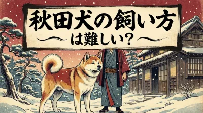 秋田犬を迎える前に！飼い方が難しいと言われる理由と正しいしつけのコツ