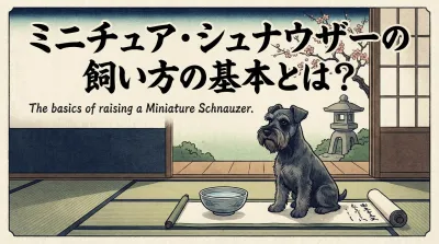 ミニチュア・シュナウザーは飼いにくい？プロが教える性格と正しい飼い方の基本