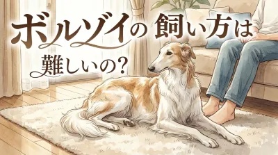 ボルゾイは室内飼いできる？難しいと言われる理由と幸せに暮らすコツ