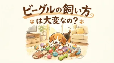 ビーグルを飼うのは大変？元猟犬の性格を理解して最高の家族になる方法