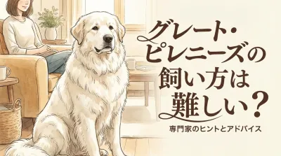 グレート・ピレニーズ飼い方完全ガイド！超大型犬と暮らす準備と注意点