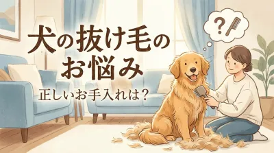 犬の抜け毛対策決定版！正しいブラッシングと換毛期のケア、病気のサインまで解説