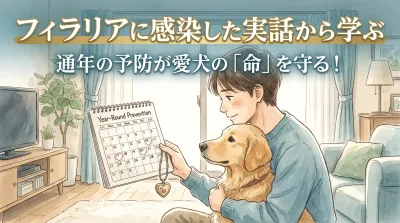 「室内飼いだから」が命取りに。実話から学ぶフィラリア感染の盲点と通年予防の真実