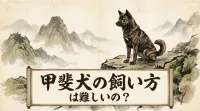 甲斐犬を飼いたい人必見！難しいと言われる理由と失敗しないための3つのポイント