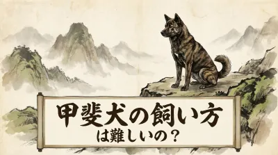 甲斐犬を飼いたい人必見！難しいと言われる理由と失敗しないための3つのポイント