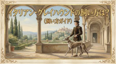 【プロ直伝】イタリアン・グレイハウンドの飼い方の核心は「環境管理」と「信頼関係」にあり