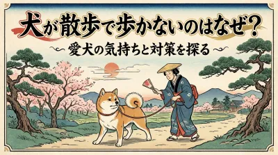 犬が散歩を拒否する原因とは？歩かない時のNG対応と正しい歩かせ方
