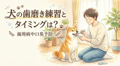 犬の歯垢は5日で歯石に。獣医学的視点で教える、失敗しないデンタルケアの基本