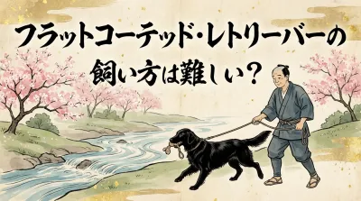フラットコーテッド・レトリーバーの飼い方完全ガイド｜性格・運動量・しつけのコツをプロが解説
