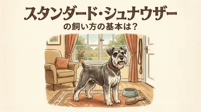 ミニチュアとは違う！スタンダード・シュナウザーの飼い方と「使役犬」の本質