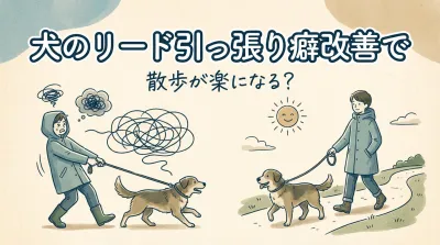 犬の引っ張り癖を直す「ストップ＆ゴー」の全手順｜散歩が劇的に楽になるプロのしつけ法