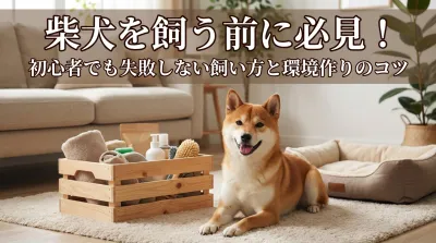 柴犬を飼う前に必見！初心者でも失敗しない飼い方と環境作りのコツ