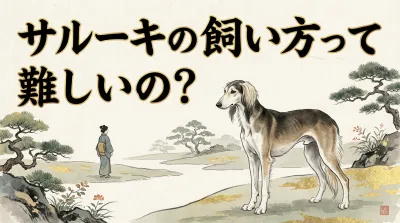サルーキの飼い方って難しいの？