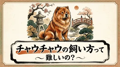 チャウチャウの飼い方って難しいの？