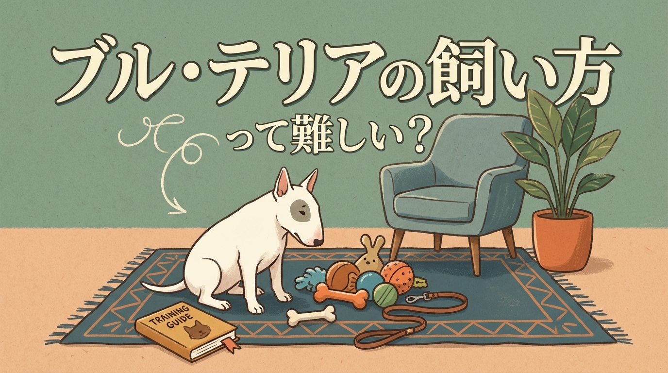 ブル・テリアの飼い方って難しい？