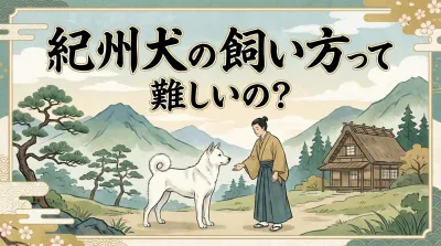 紀州犬の飼い方って難しいの？