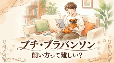 プチ・ブラバンソン　飼い方って難しい？