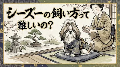 シーズーの飼い方って難しいの？