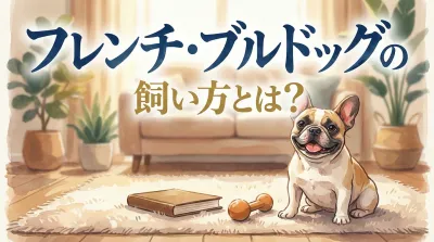 フレンチ・ブルドッグの飼い方とは？