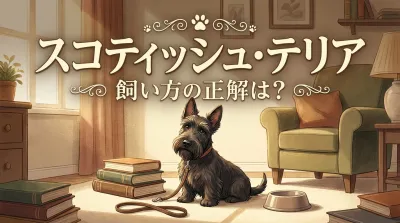 スコティッシュ・テリア 飼い方の正解は？