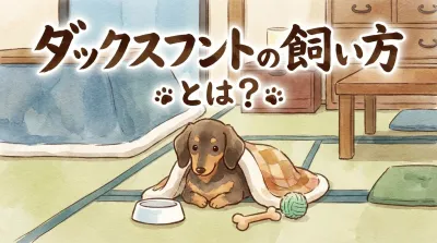 ダックスフントの飼い方とは？