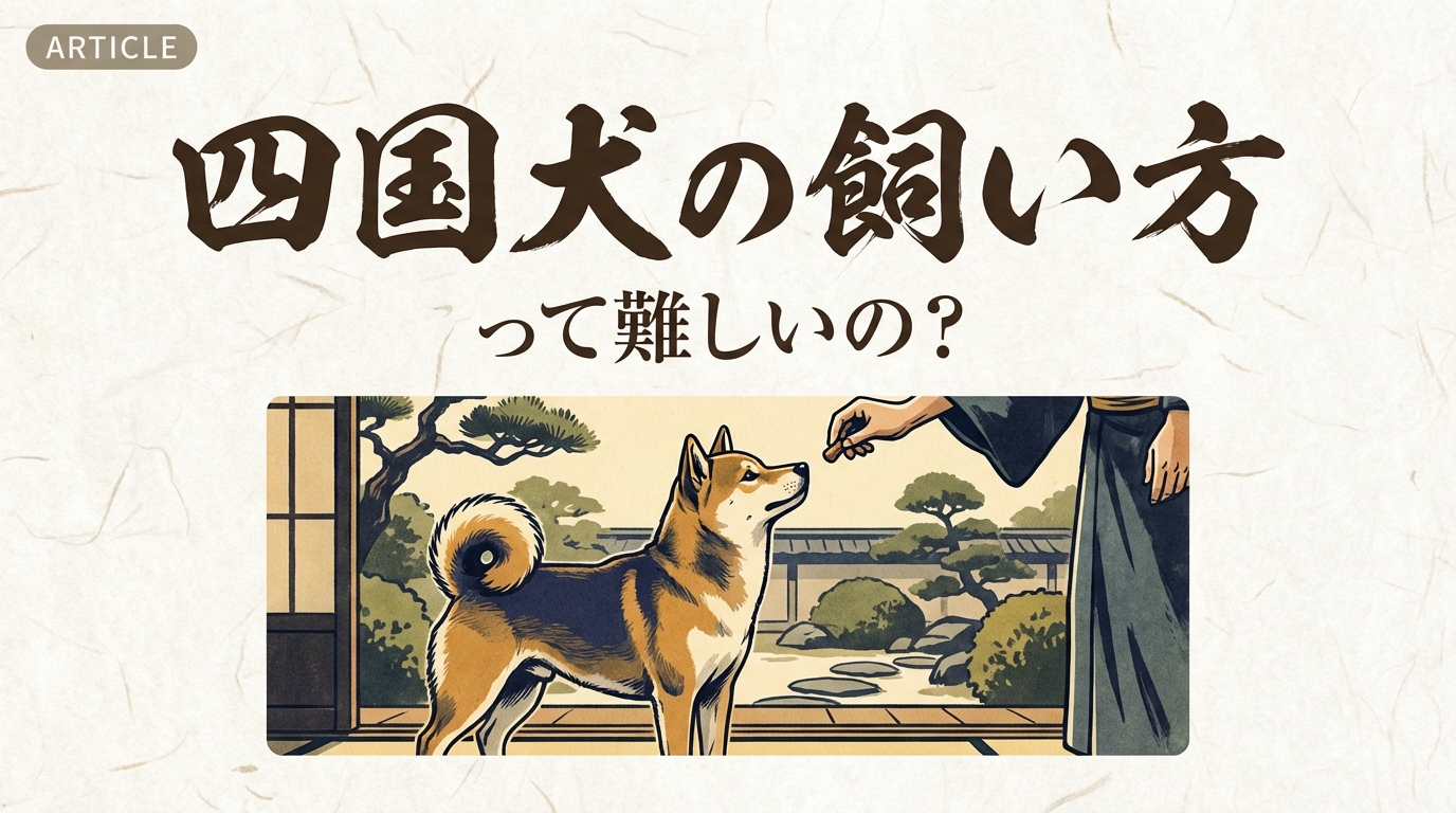 四国犬の飼い方って難しいの？