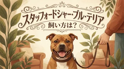 スタッフォードシャー・ブル・テリア 飼い方は？