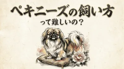 ペキニーズの飼い方って難しいの？