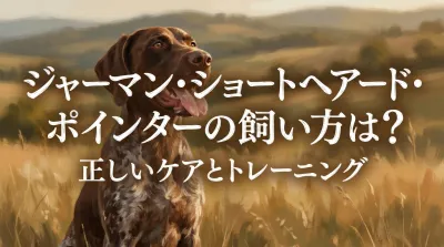 ジャーマン・ショートヘアード・ポインターの飼い方は？